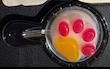 پاستیل پنجه ماهیتابه 🐱🍳