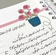 پلنر روزانه پیکسان