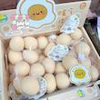 فیجت تخم مرغ 🥚