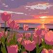 بوم نقاشی با اعداد ۳۰*۳۰ (۱۲ طرح)