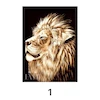 نقاشی الماسی 50*40 (6 طرح)
