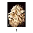 نقاشی الماسی 50*40 (6 طرح)