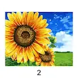 نقاشی الماسی 40*30 (4 طرح)