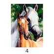 نقاشی الماسی 40*30 (4 طرح)