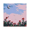 بوم نقاشی با اعداد (۲۰*۲۰) کد E2569
