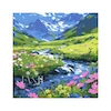 بوم نقاشی با اعداد (۲۰*۲۰) کد YHTR002