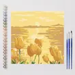 بوم نقاشی با اعداد (۳۰*۳۰) کد Hh2022