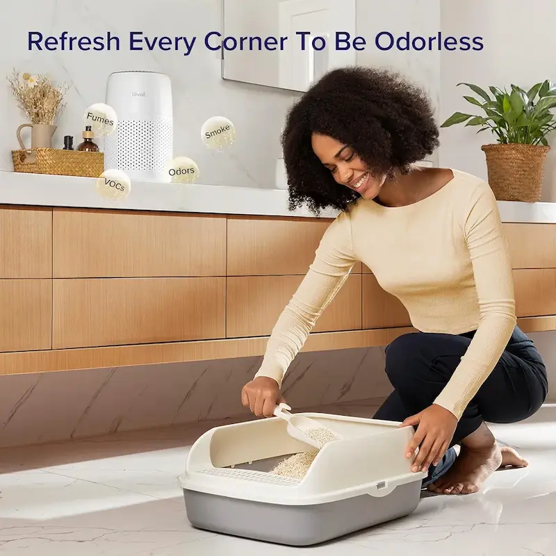 دستگاه تصفیه هوا لوویت | Levoit Air Purifier