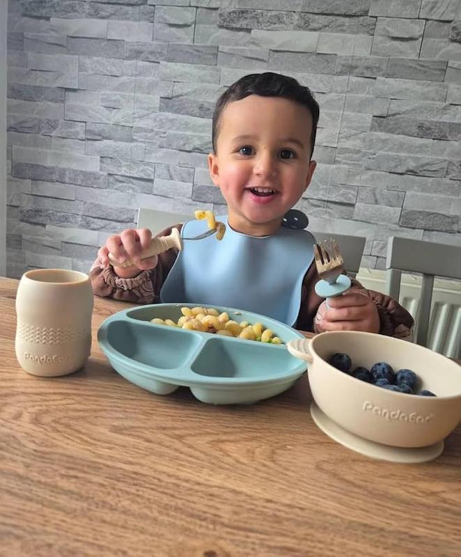 ست کامل ۱۰ تکه غذاخوری سیلیکونی  (PandaEar Silicone Baby Feeding Set)