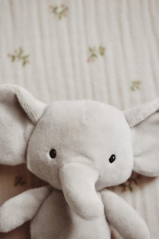 جغجغه نرم عروسکی اچ اند ام |  H&M Soft Rattle