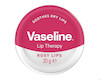 بالم لب وازلین مدل ROSY وزن 20 گرم
