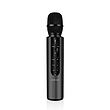 میکروفن کارائوکه گرین لاین Green Lion Karaoke Microphone