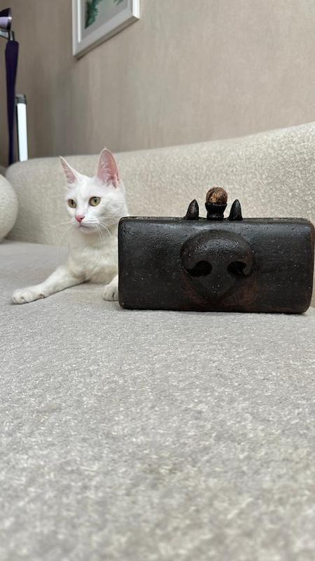 گربه