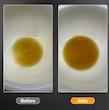 بسکت اسپرسو میکروسیو MISCHIEF MICRO SIEVE – ۱۸ گرم / ارتفاع ۲۶ میلی‌متر
