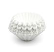فیلتر کاغذی قهوه Kalita Wave 185-بسته 100 عددی