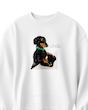 دورس طرح DOG player