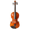 VSL 303 Viola