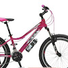 دوچرخه Alex Trust 24 762