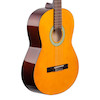 IBANEZ GA3 – AM
