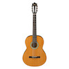 IBANEZ GA3 – AM