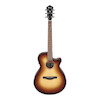 IBANEZ AEG50 – DHH