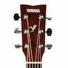 Yamaha F310 NT