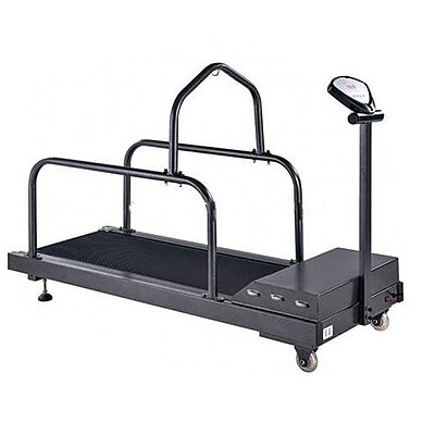 تردمیل سگ Fitness QY-C200