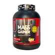 مس گینر ماسل کور 2.72 کیلو گرم MASS GAINER NUSCLE CORE (لاین امارات)