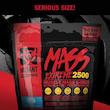 مس گینر اکستریم موتانت 2.7 کیلوگرم MUTANT MASS EXTREME 2500 (لاین امارات)