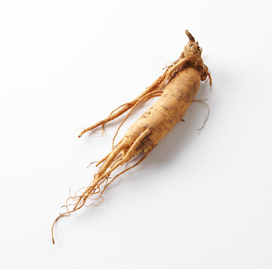 جینسنگ و خواص معجزه آسای آن