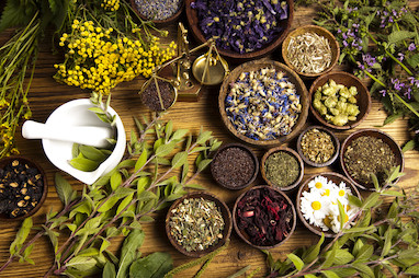 گیاهان دارویی چیستند و چرا باید در زندگی روزمره استفاده شوند؟