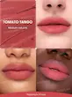 بالم لب مات کاسه ای لب شیگلم مدل Bounce Putty Pocket Lip Pot