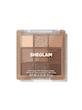 پالت سایه 9 رنگ شیگلم Pan Eyeshadow Palette