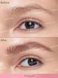 ماژیک هاشور ابرو شیگلم مدل Brow Fection | Angled Brush & Dip