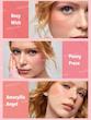 پالت رژگونه شیگلم | Floral Flush Blush