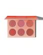 پالت رژگونه شیگلم | Floral Flush Blush