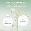 فوم شستشو تی تریکا BHA سنتلا ماداگاسکار اسکین 1004 SKIN1004 Madagascar Centella Tea Trica BHA Foam