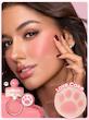 رژگونه استمپی پنجه گربه شیگلم Cutie Paw Blush Stamp رنگ Love Cake