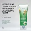 فوم شستشوی تسکین دهنده و پاک کننده عمقی منافذ آنوا 150 میل Anua Heartleaf Quercetinol Pore Deep Cleansing Foam