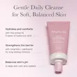 شوینده ملایم رز‌هیپ آرنسیا متعادل‌ کننده pH و تقویت کننده سد دفاعی Arencia Rosehip Mild pH Balancing Rice Cake Cleanser