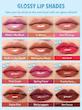 بالم لب حجم دهنده (لیپ پلامپر) شیگلم مدل POUT-PERFECT SHINE LIP PLUMPER