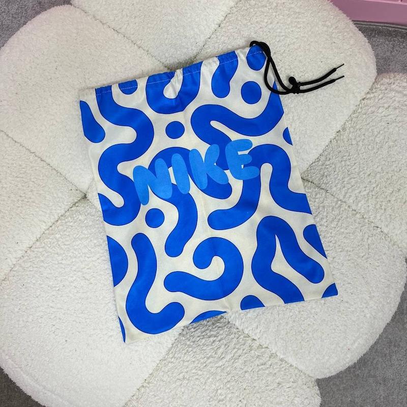 کیف کفش