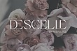 فونت انگلیسی لیگاتور مدرن الگانت (Greyst)