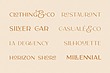 فونت انگلیسی الگانت مدرن فمینین (Carla)