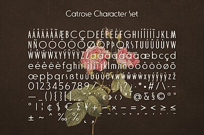 فونت انگلیسی کاترز (Catrose)