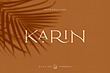 فونت انگلیسی کارین (Karin)