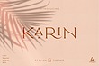 فونت انگلیسی کارین (Karin)