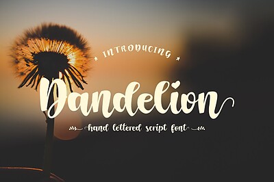 فونت انگلیسی دست‌نویس زیبا برای طراحی رمانتیک (Dandelion)