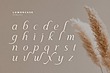فونت انگلیسی مگوار (Maguare)