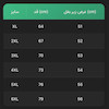تیشرت ورزشی مردانه NIKE فلامنت سوزنی کد 12